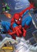 spiderman-web.jpg